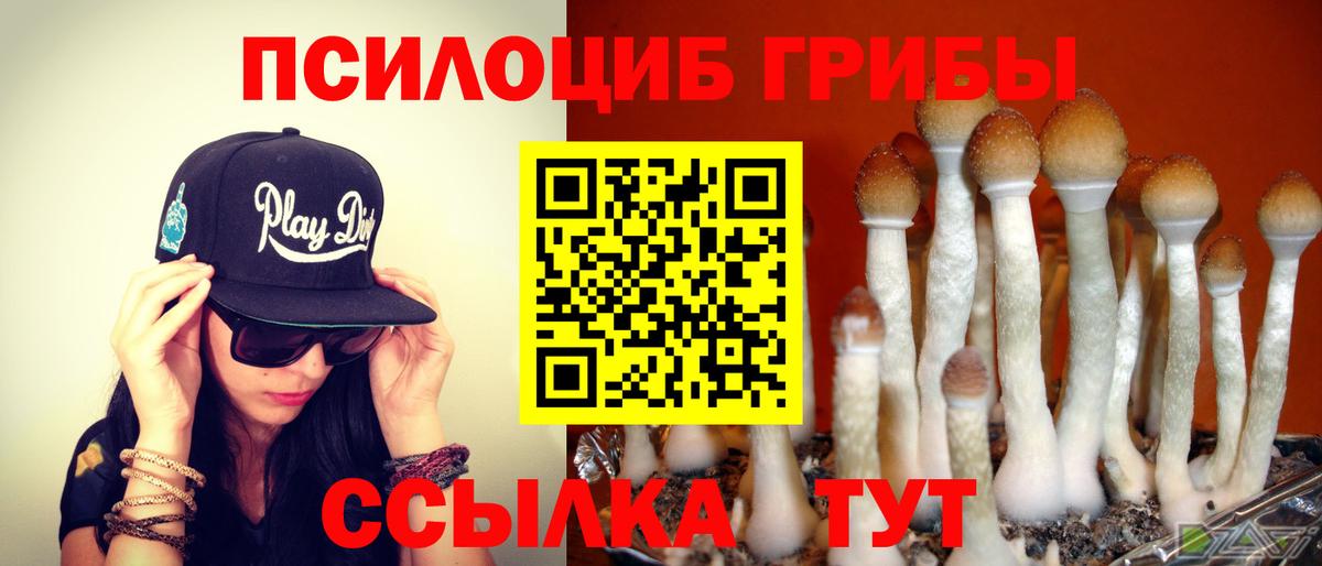 где купить   Галлюциногенные грибы мухоморы  Псилоцибиновые грибы прущие грибы  Вход с VPN  Ижевск 