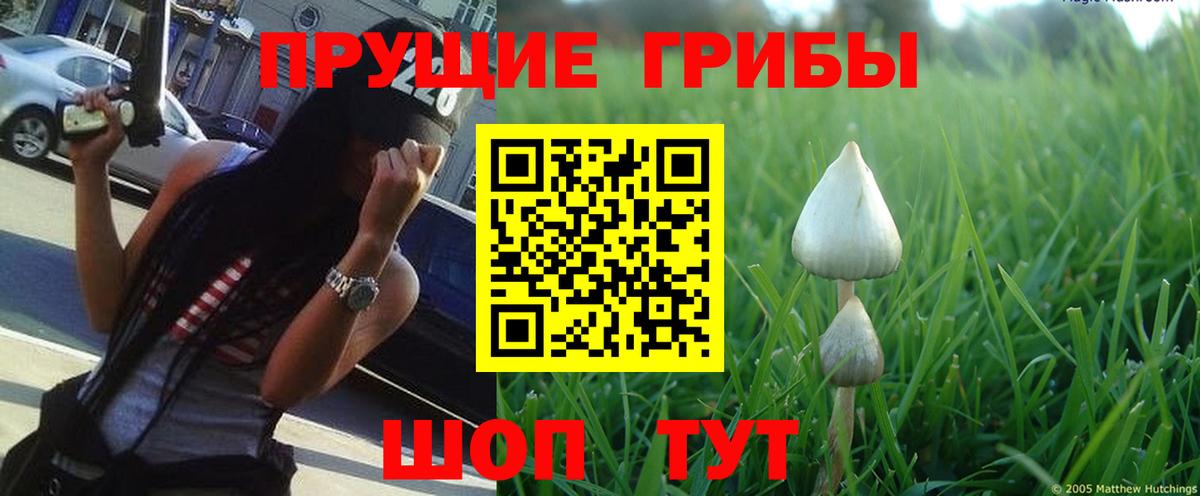 Псилоцибиновые грибы ЛСД Ижевск